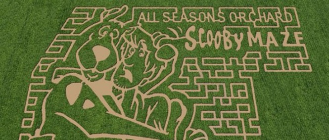 10 obras de arte em labirintos de plantações agrícolas
