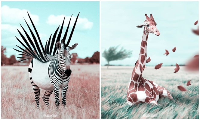 Artista usa Photoshop de maneira singular para criar incríveis animais