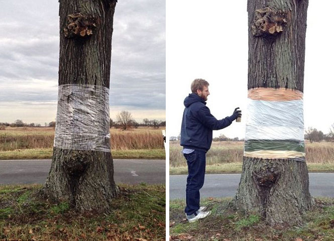 Artistas criam impressionante ilusão de ótica em tronco de árvore