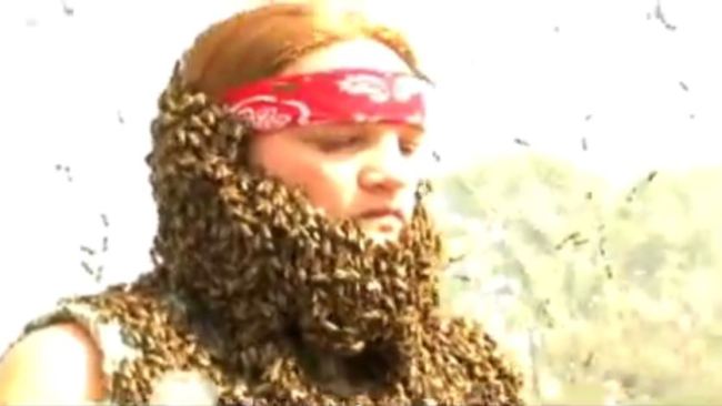 Competição bizarra de barbas feitas de abelhas faz sucesso no Canadá