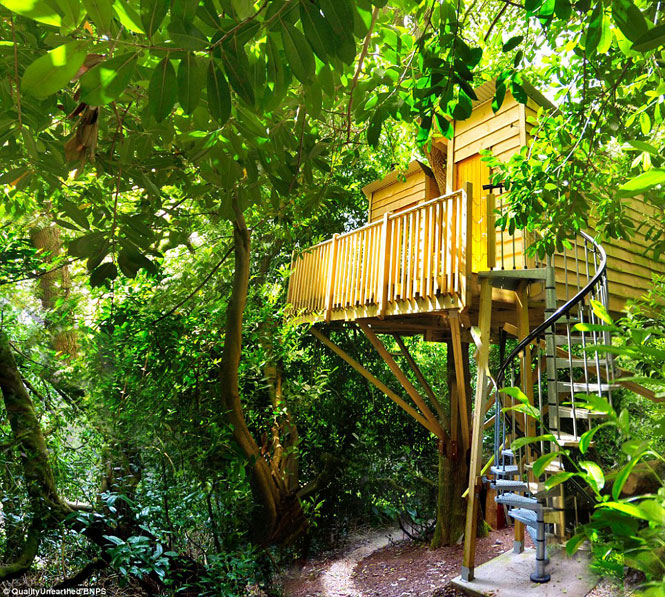 Conheça a casa de luxo na árvore que pode ser alugada por 750 reais a noite