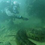 Corajoso mergulhador filma momento em que se deparou com anaconda de 20 metros dentro do rio Amazonas