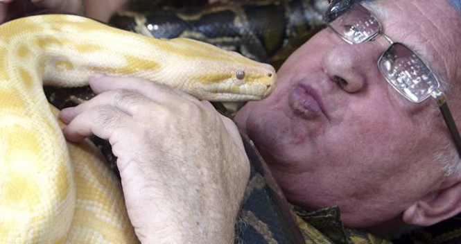Homem corajoso trata lesão crônica no braço com massagem realizada por cobras