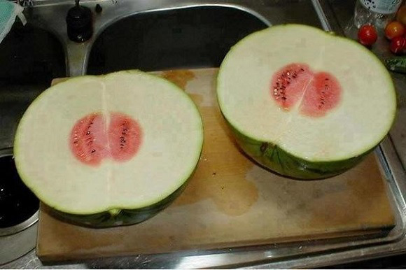 Homem é surpreendido ao comprar melancia e descobrir que ela era quase toda “feita de casca”