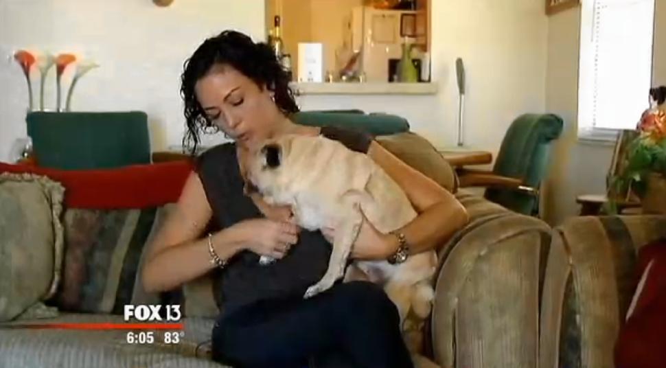 Mulher fica revoltada após levar cão de estimação para consulta e veterinário remover olho do animal