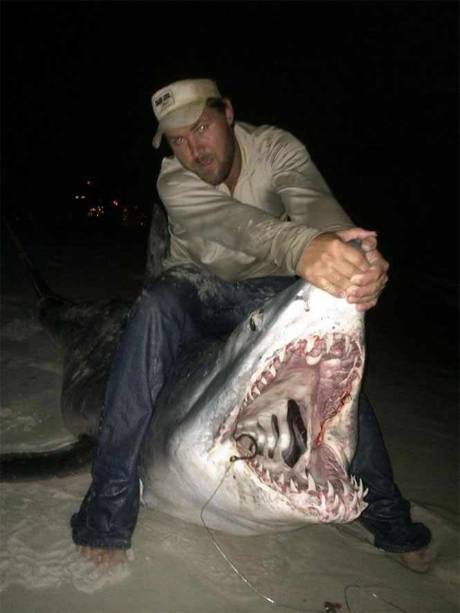 Pescador bate recorde ao fisgar tubarão de 365 kg