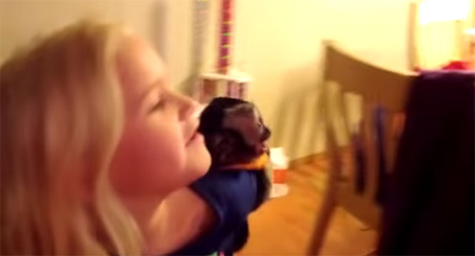 Vídeo faz sucesso ao mostrar reação de macaquinho bebê ao reencontrar sua dona